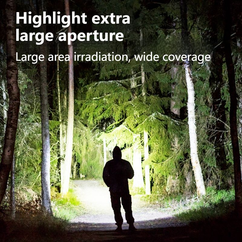 Philips 1236 Flashlight LED Wi - Outdoor Lighting Philips 评论和价格