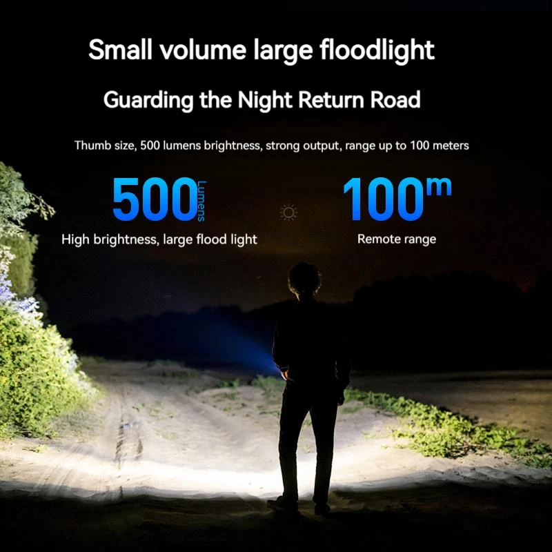 PHILIPS EDC Flashlight LED Rec - Outdoor Lighting Philips 评论和价格
