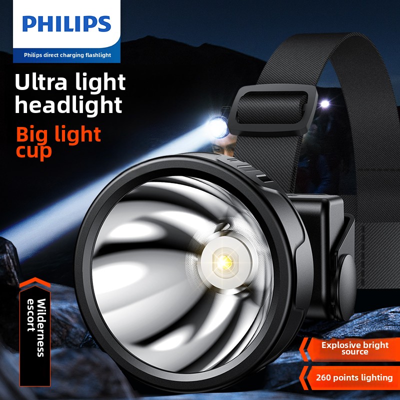 PHILIPS SFL1342 LED Headlamp S - Outdoor Lighting Philips 评论和价格
