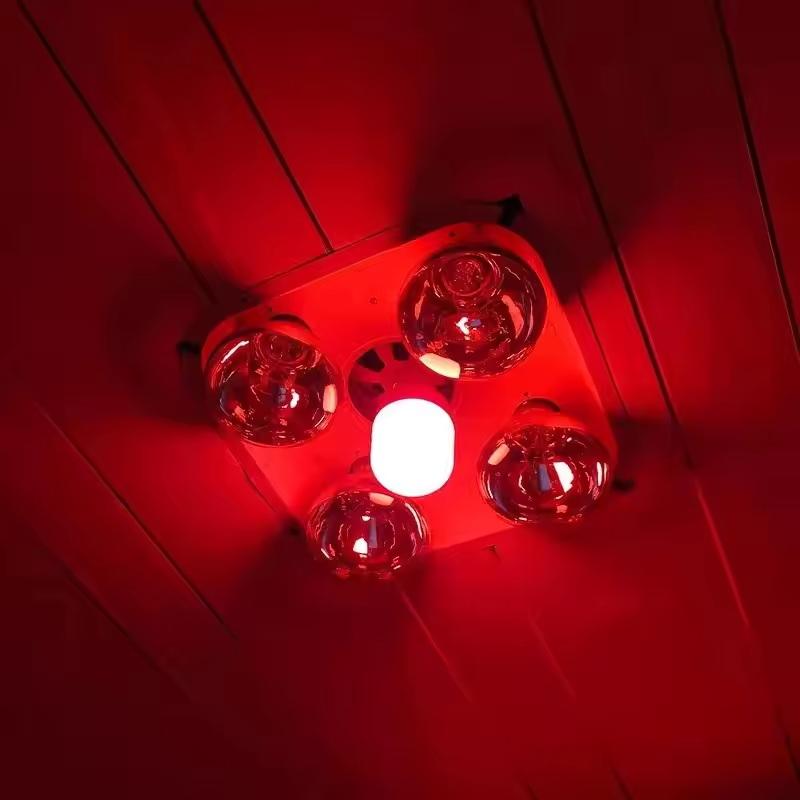 New High Power Red LED Light B - Outdoor Lighting Xmas 评论和价格