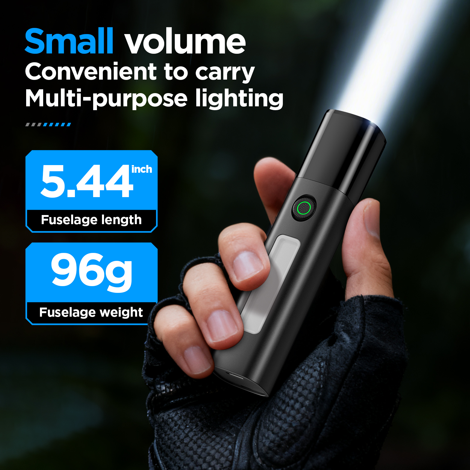 Philips SFL 1151 Flashlight wi - Outdoor Lighting Philips 评论和价格