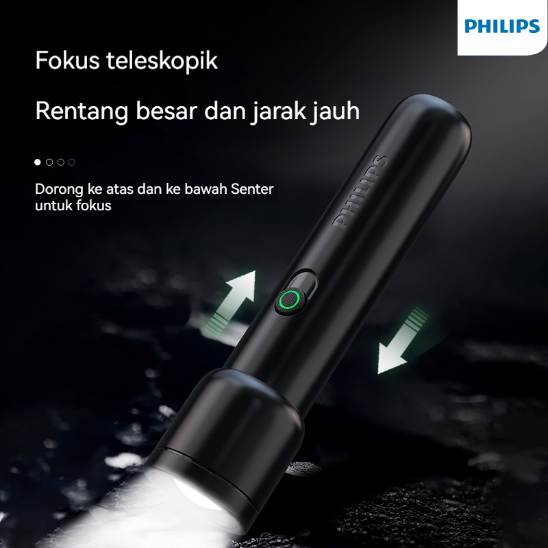 Philips SFL1123 Stepless Dimmi - Outdoor Lighting Philips 评论和价格