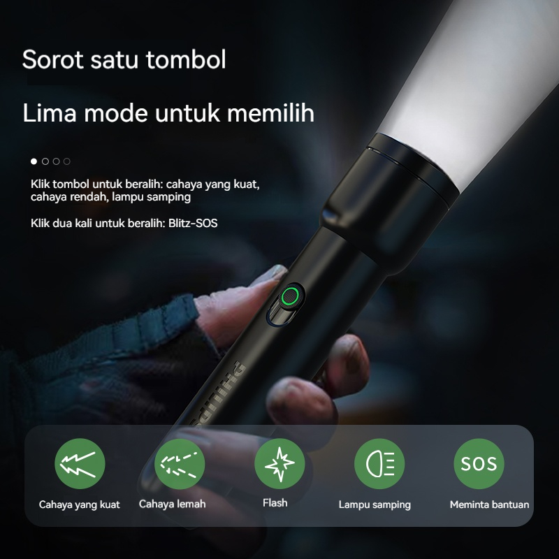 Philips SFL1123 Stepless Dimmi - Outdoor Lighting Philips 评论和价格